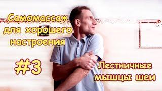 Самомассаж #3: Лестничные мышцы шеи, разблокировка плечевого сплетения и подключичной артерии