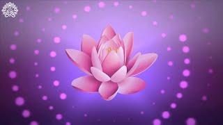 Release Inner Conflict & Struggle  Anti Anxiety Cleanse  Stop Overthinking, Worry & Stress