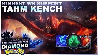 TAHM KENCH IS THE HIGHEST WR SUPPORT!?! - Unranked to Diamond Nuzlocke | League of Legends