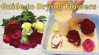 How to Dry Flowers, for Putting in Resin Shocking Results!