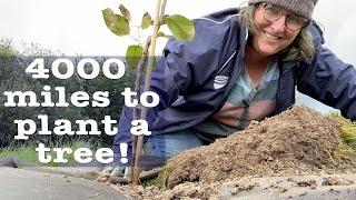 Planting Memories (and trees) with Liz Zorab in Byther Farm's Food Forest