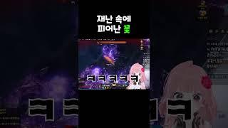 재난 속에 피어난 꽃