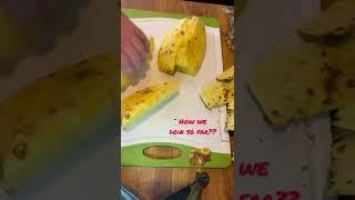 Let’s cut a pineapple the right way!!