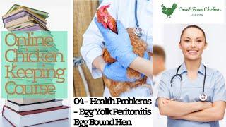 Egg Yolk Peritonitis, Egg Bound Hen, Lethargic Chicken - Health Problems - Chicken Keeping Course 4