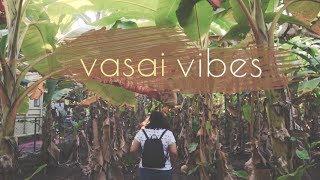 VASAI VIBES - Christmas in Vasai | Homemade Pork Vindaloo