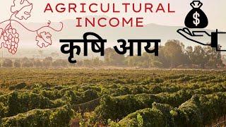 Agricultural income explained with non-agricultural income