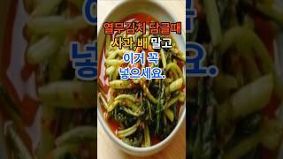 열무김치 담글때 사과 배 말고 이거 꼭 넣으세요. #건강  #건강정보  #음식
