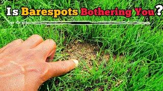 Barespots? Here is the best way to deal with them