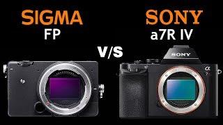 Sigma Fp vs Sony a7R IV | Quick Camera comparison