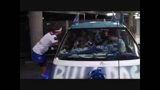 Canterbury Bulldogs NRL Fanatics