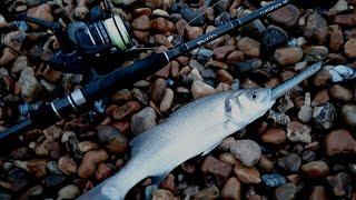 LURE FISHING FOR BASS AND MACKEREL IN EASTBOURNE - BOMBARDA FLOAT FISHING WITH RED GILL LURES