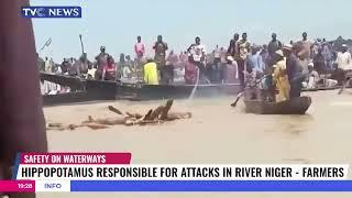 Fishermen Kill Hippopotamus That Killed Two Person In Kebbi State