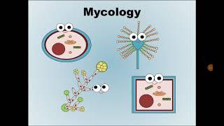 1. Mycology علم الفطريات