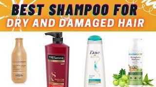 5 Best Shampoo's For Dry, Damaged and Frizzy Hair | Haircare tips