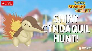  I HATCHED TWO SHINY CYNDAQUIL! (masuda method) | Live Stream | Pokemon Scarlet Violet