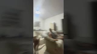 Dog Falls Jumping Off Couch Toward Owner