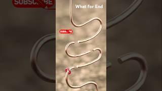 School science experiment project #shortsfeed #shorts #youtubeshorts #ytshorts #
