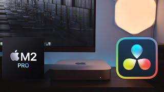 M2 Pro Mac Mini - 4K Editing on Da Vinci Resolve (Free Version)