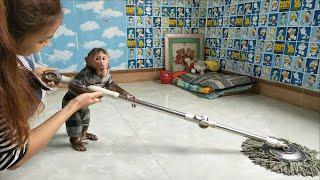 Smart Baby Monkey Kuku helps mom clean the house