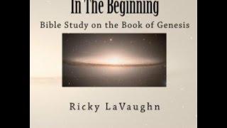 In The Beginning - Structure