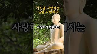 50대 필독! 부처님 말씀: 자신을 사랑하듯 남을 사랑하라 #인생후반전 #마음의힘 #지혜의말씀 #극복 #명언 #긍정적마인드 #고통의의미
