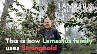 This is how Lamastus Family uses Stronghold