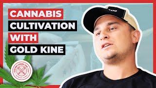 Detroit Cultivation Brand Reaches over 280 Stores! | Custom Cones USA