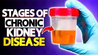 Stages of Chronic Kidney Disease You Need to Know | HealU