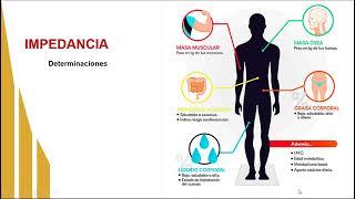 BIOIMPEDANCIA