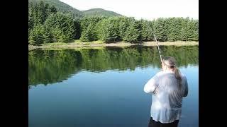 Fish creek , Douglas Island , Juneau Alaska