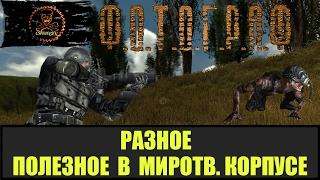 STALKER ФОТОГРАФ Миротворческий корпус