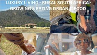 Luxury Living in rural South Africa | Growing & Eating Organic food | Village Lifestyle