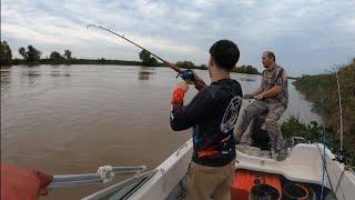 Pesca , cocina y aventuras en la Isla , arroyo Los Laureles , lugar increíble