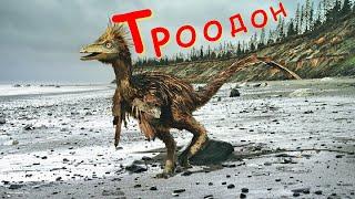 Троодон.  Самый умный динозавр