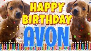 Happy Birthday Avon! ( Funny Talking Dogs ) What Is Free On My Birthday