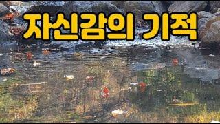 자신감의 기적 feat 생각 그 위대한 힘, os 마든,다리미디어