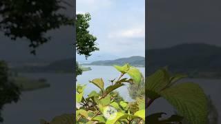 낙동강 무심사 | 고요함 속에 피어난 아름다운 풍경! (마음 정화 힐링 스팟)  조약돌 사랑 #장민