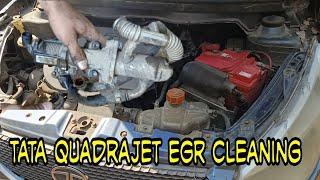 Tata Vista Quadrajet EGR Valve Cleaning