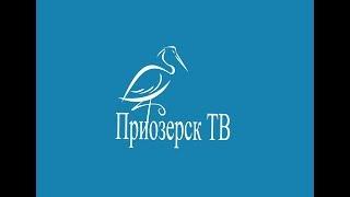 Программа "Приозерск ТВ" 08 июля