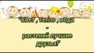 Проект " Свет, тепло, вода- растений лучшие друзья. "
