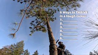 6 Ways to Extend Your Career as a Tree Climbing Arborist