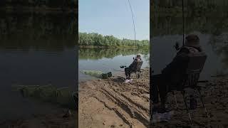 фидерная рыбалка в мае. лещ , калина.