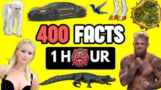 400 AMAZING Random FACTS In ONE HOUR That Will Surprise You ⏰| #5