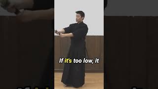 Ideal Men Strike: Kendo At Home Series Part 8 from 1.6M Viewed Video