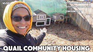 VLOG - New Construction On The Homestead | Animal Updates (I Don't Have Time For Bertha Today)