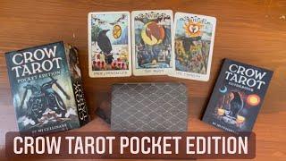 Crow Tarot Pocket Edition |⭐️New Release⭐️| Full Flip Through