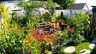 FALL IS HERE | Relaxing Tiny Backyard Garden Tour | Plants Flowers & Birds #garden #flowers #new