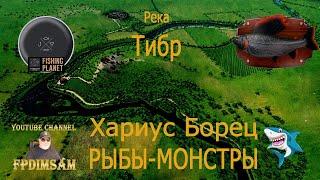 Fishing Planet. Рыбы-Монстры. Хариус Борец. Река Тибр, Италия. Fish Monsters. Grayling Wrestler.