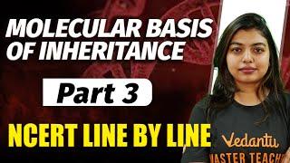 Molecular Basis Of Inheritance Part 3 | Class 11 Biology | NCERT Line By Line