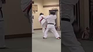 Hook Kick in the face in Uechi Ryu Karate Sparring - slow motion